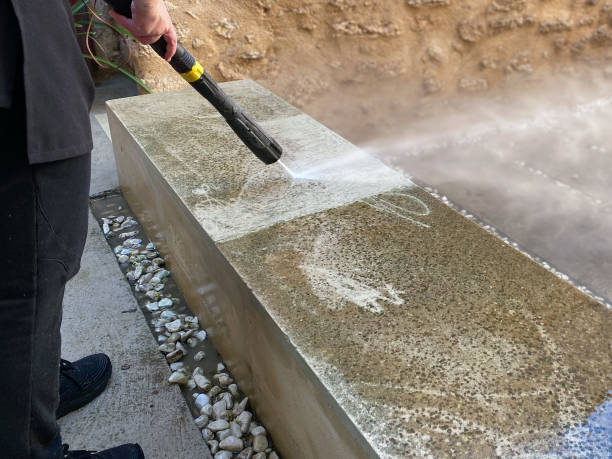 Best Roof Pressure Washing  in St Bernard, OH